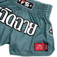 Teal Mono Nylon Lotus Granite Muay Thai shorts with vintage-inspired embroidery and patches.